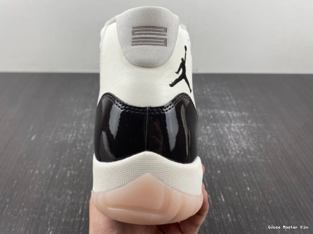 11 Jordan AR0715-101 Air Neapolitan 0519